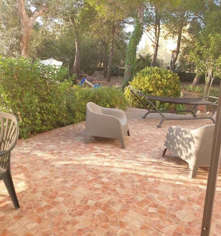 La Gazza Ladra主图