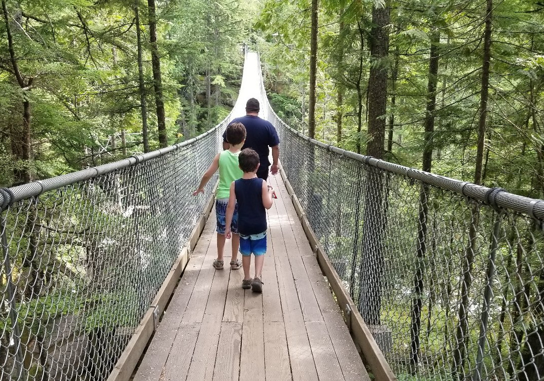 Crazy Creek Suspension Bridge景点图片