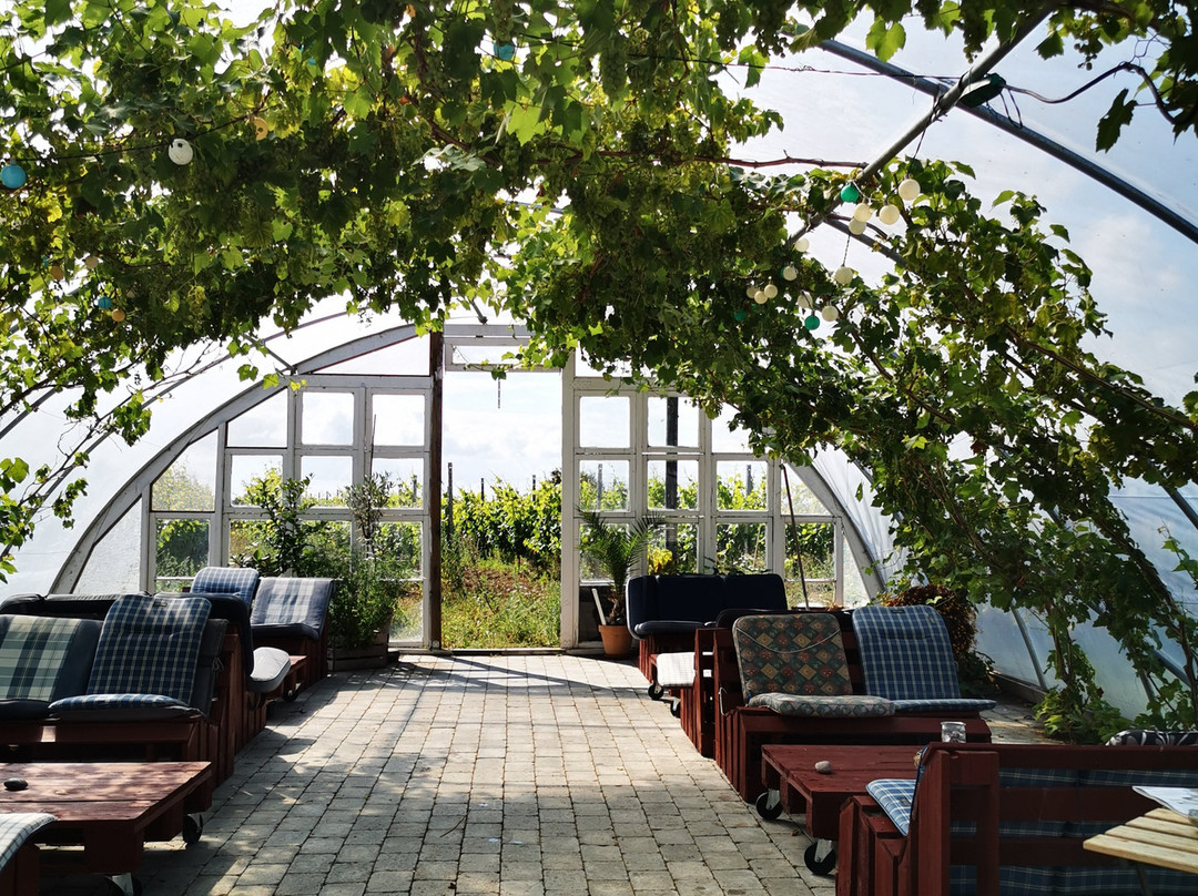 Aaroe Vingaard-哈泽斯莱乌必去景点