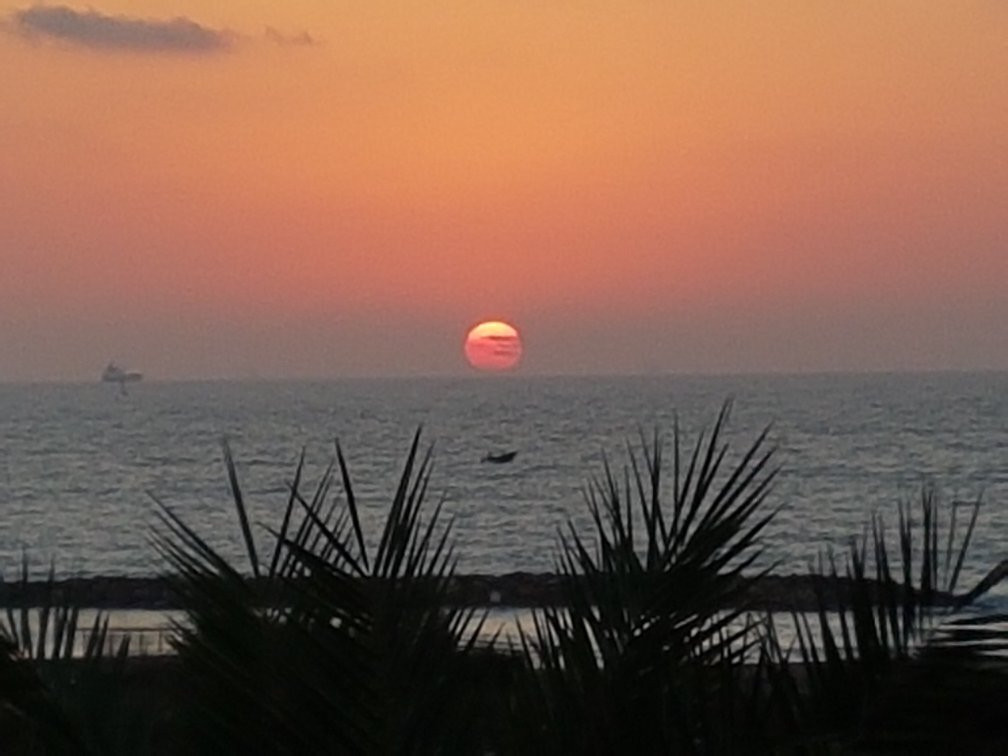 Regina Goren Hotel主图