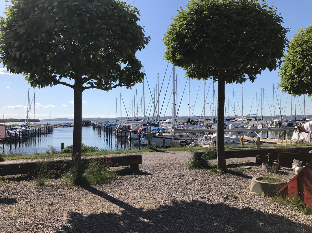 Ebeltoft Skudehavn景点图片