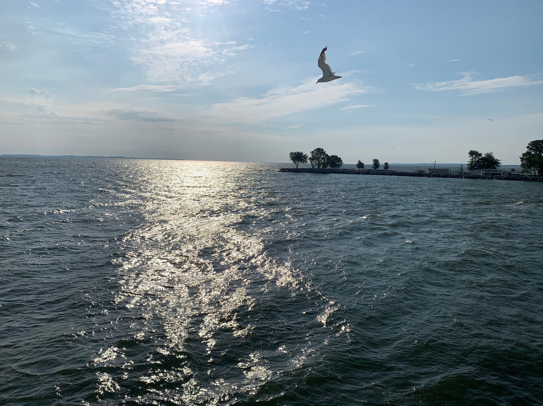 Miller Boat Line-克林顿港必去景点