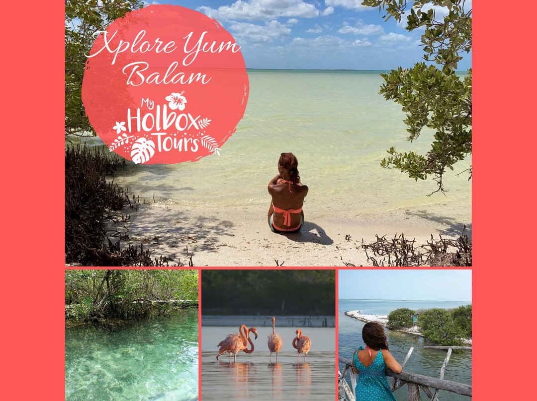 My Holbox Tours景点图片