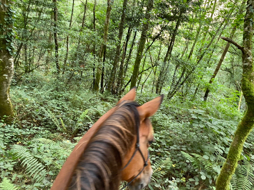 Equusfera景点图片