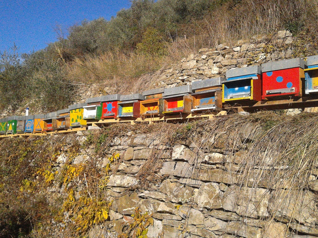 L'Ape Golosina-Narzole必去景点