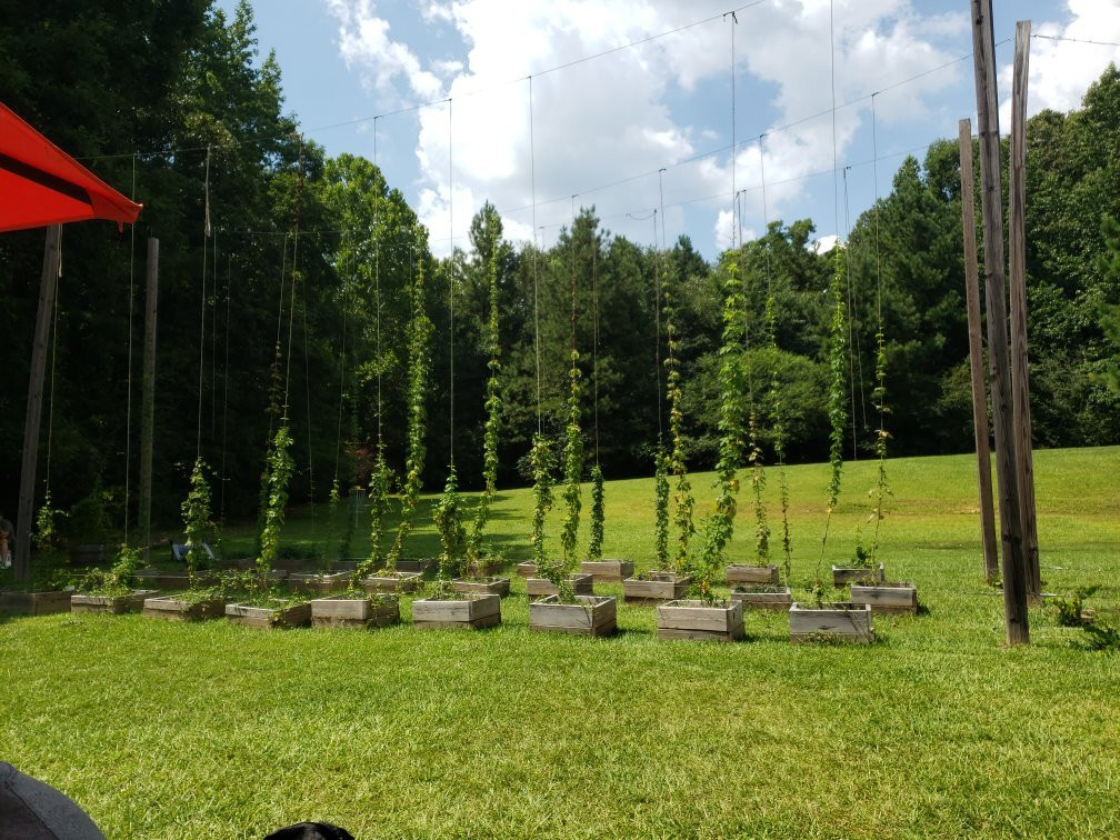 Printer's Ale Manufacturing Co.