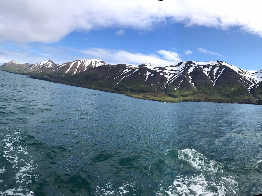 Whale Watching Hauganes-Hauganes必去景点