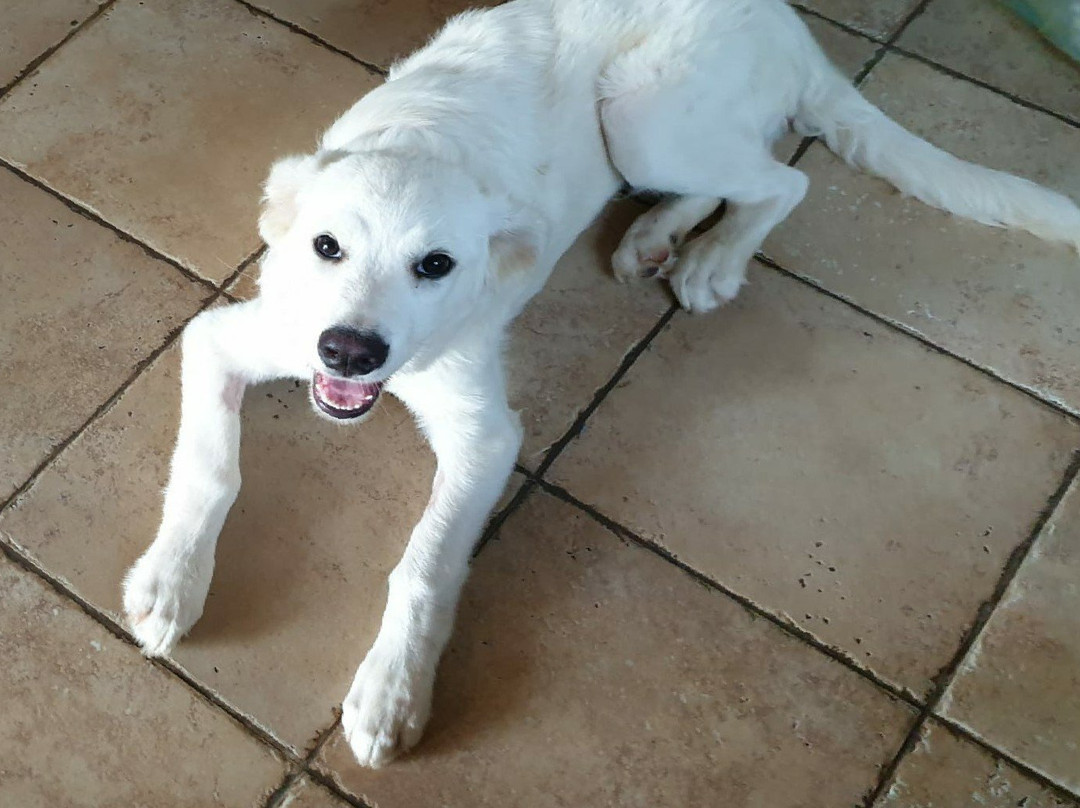 Agriturismo Baratz主图