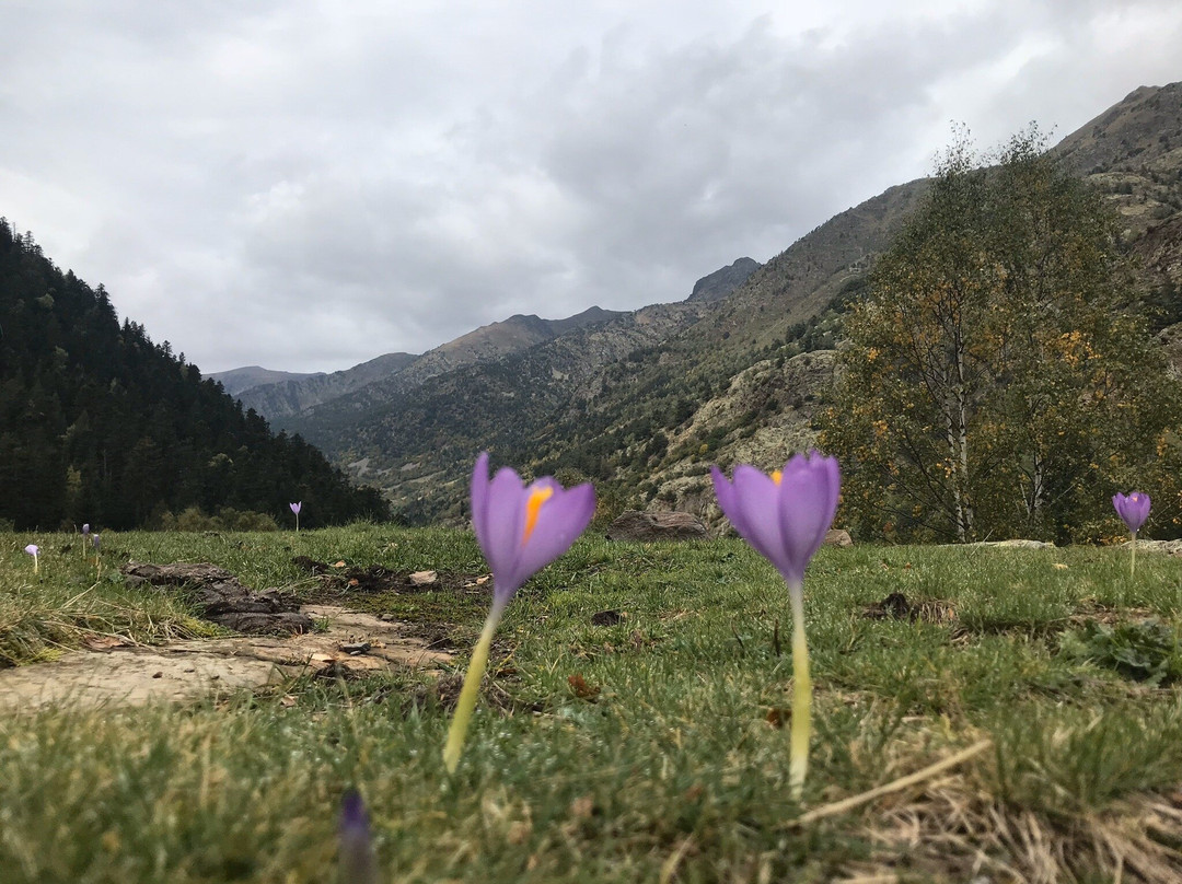 Casa Rural Casa Besoli主图