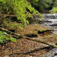 Hartwick酒店住宿-Whisperin' Pines Chalet