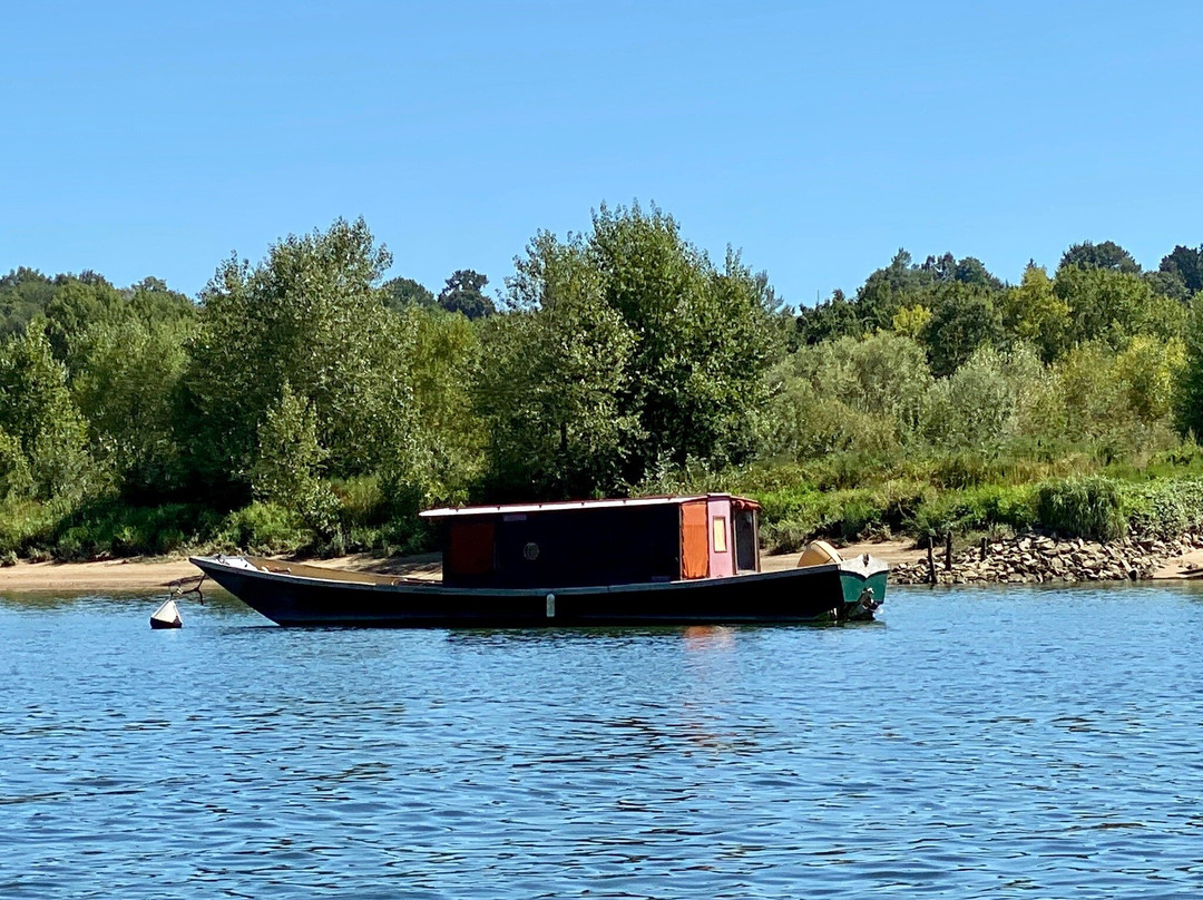 Bateau La Luce景点图片
