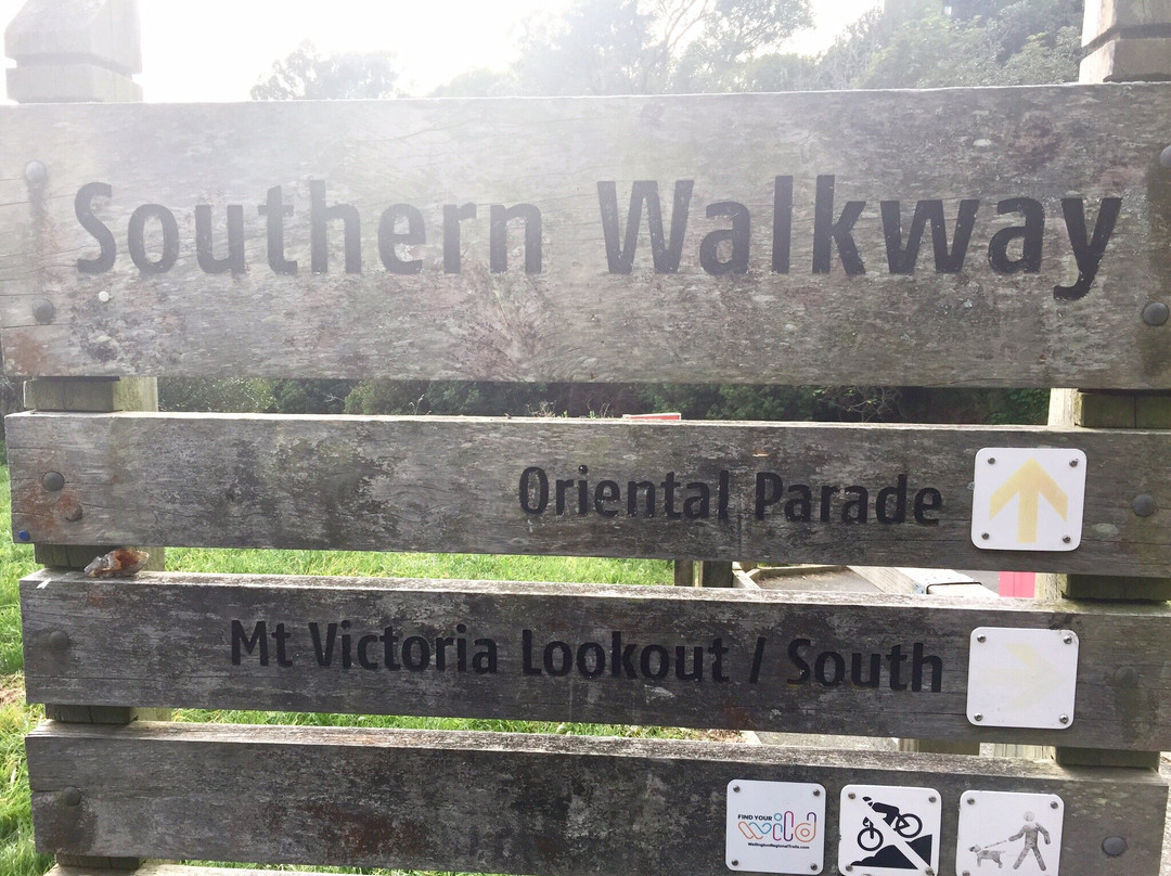 Southern Walkway-惠灵顿必去景点