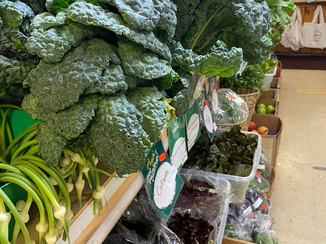 Fresh Off The Farm景点图片