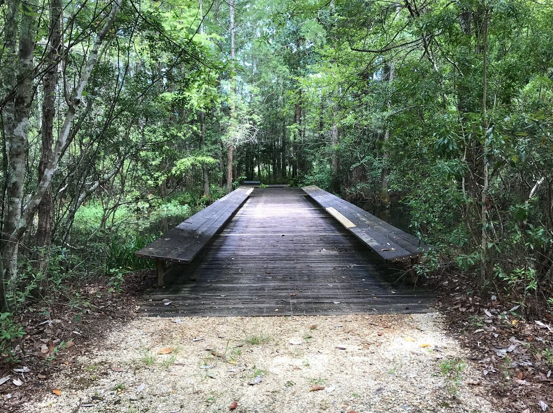Crosby Arboretum-Picayune必去景点