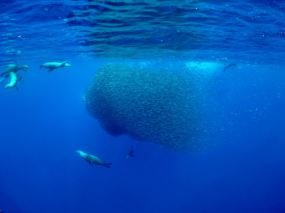 Nakawe Experiences-拉巴斯必去景点