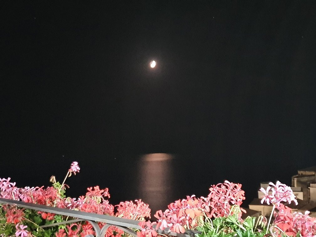 B&B La Terrazza主图