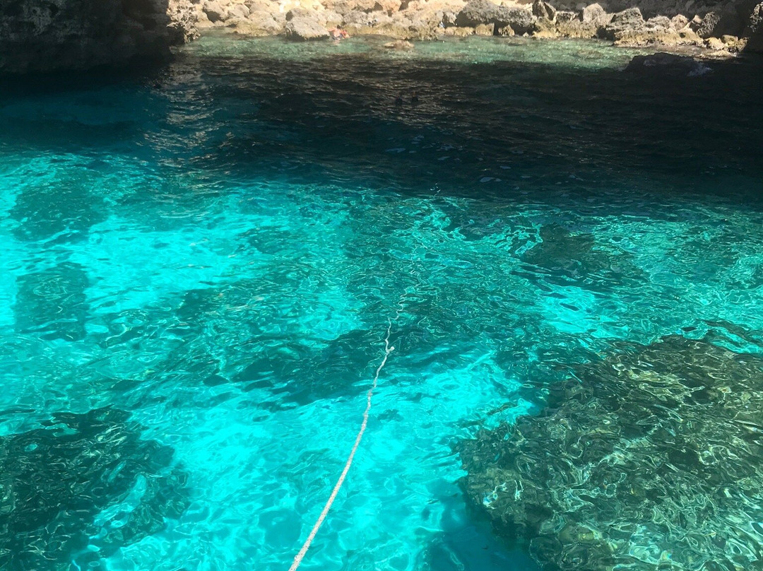 Shamrock Apartments主图