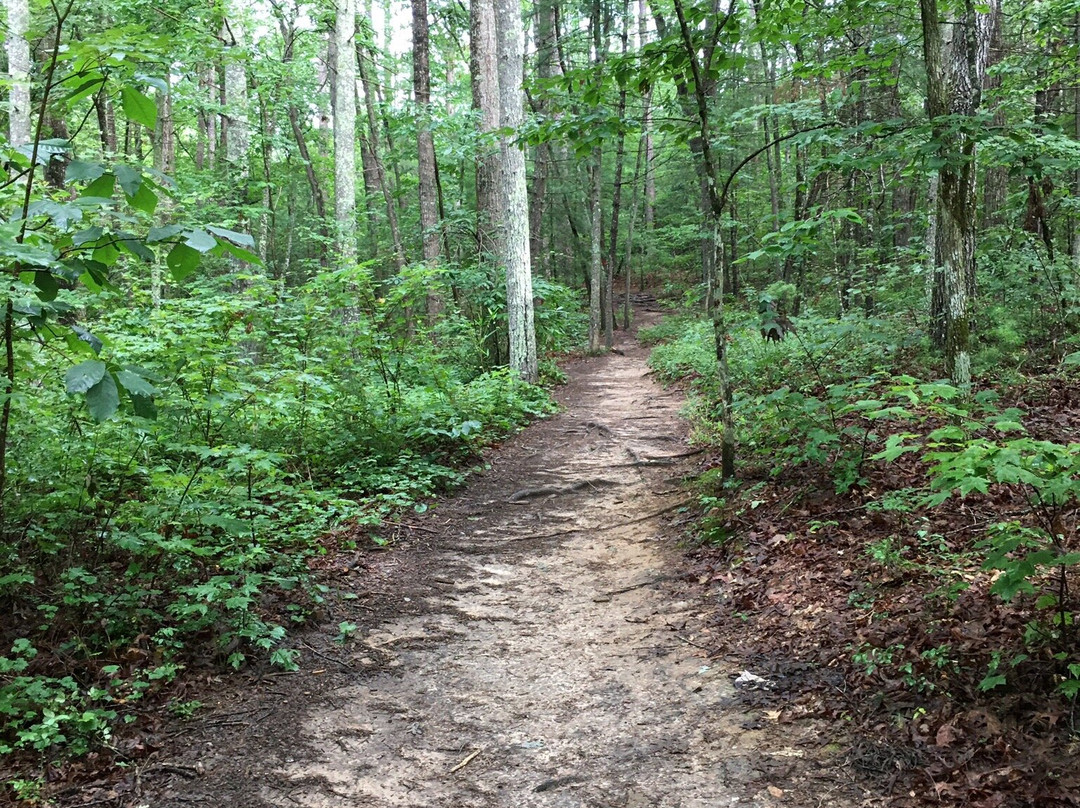Panther Creek Recreation Area景点图片