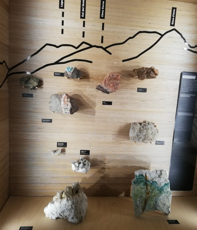 Geological Museum of the Dolomites景点图片