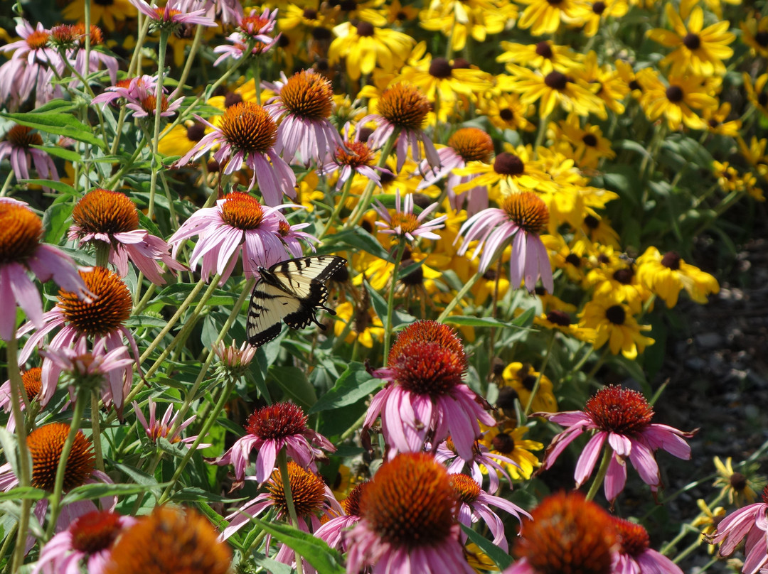 Buttermilk Falls Inn & Spa主图