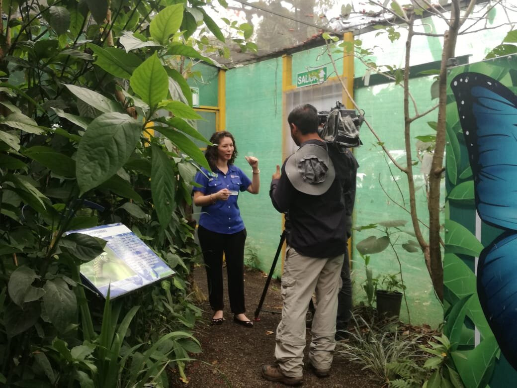 Mariposario La Casa De La Morpho Azul景点图片