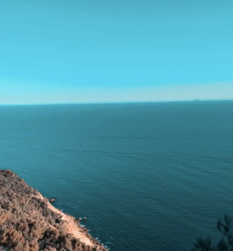 Cavalluccio Marino主图