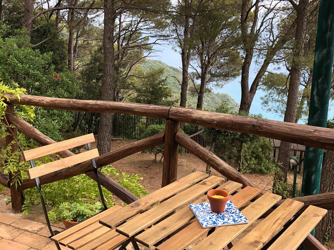 Cavalluccio Marino主图