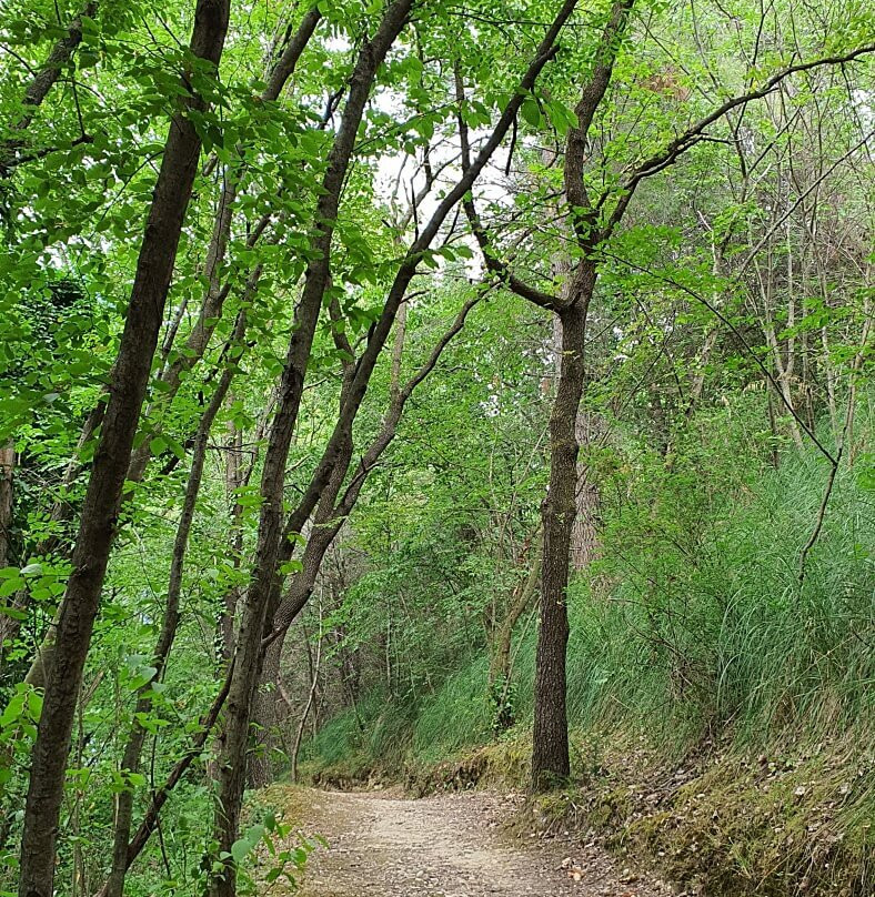Percorso del Bosco del Cugnolo-费尔莫必去景点