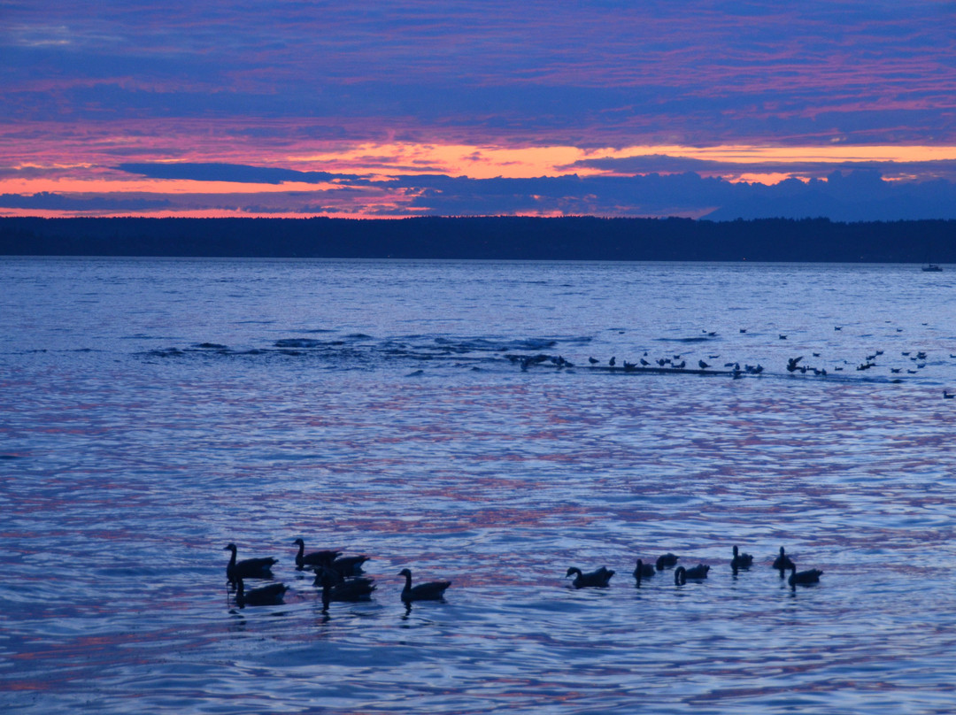 Des Moines Marina-得梅因必去景点