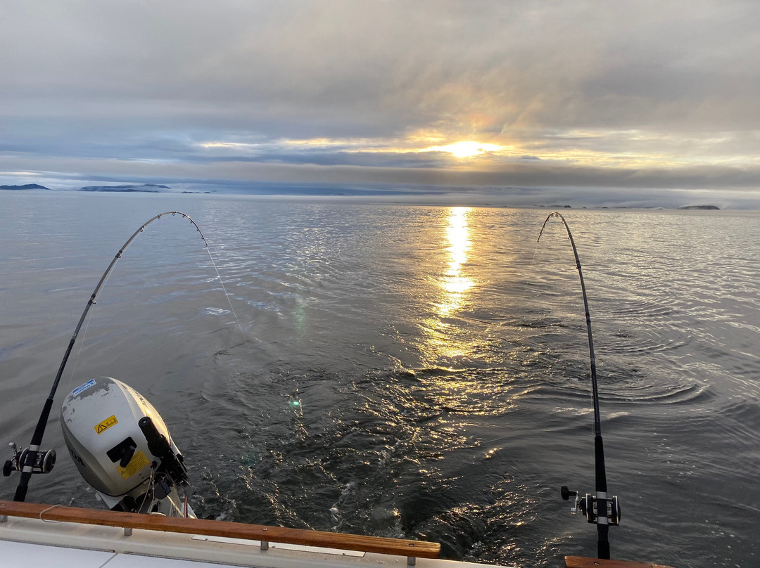 Grey Ghost Fishing and Adventure Tours景点图片