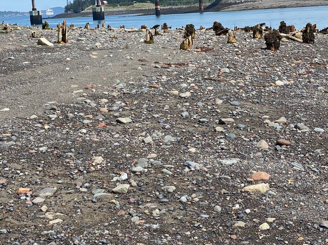 Mowry Beach Preserve景点图片