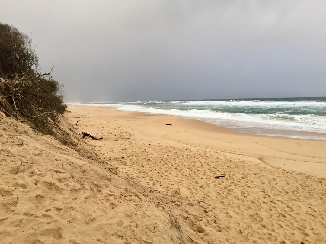 Point Ricardo Beach景点图片