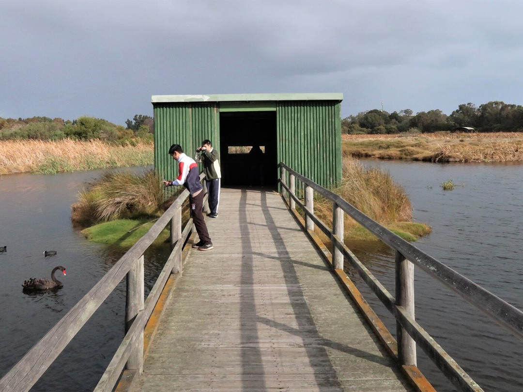Big Swamp Walk-班伯利必去景点
