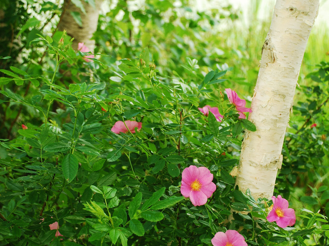 Wallace Bay National Wildlife Area-Pugwash必去景点