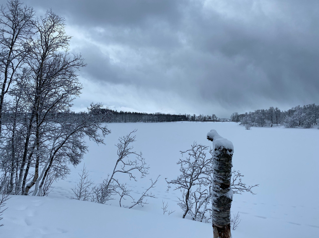Prestvannet Lake景点图片
