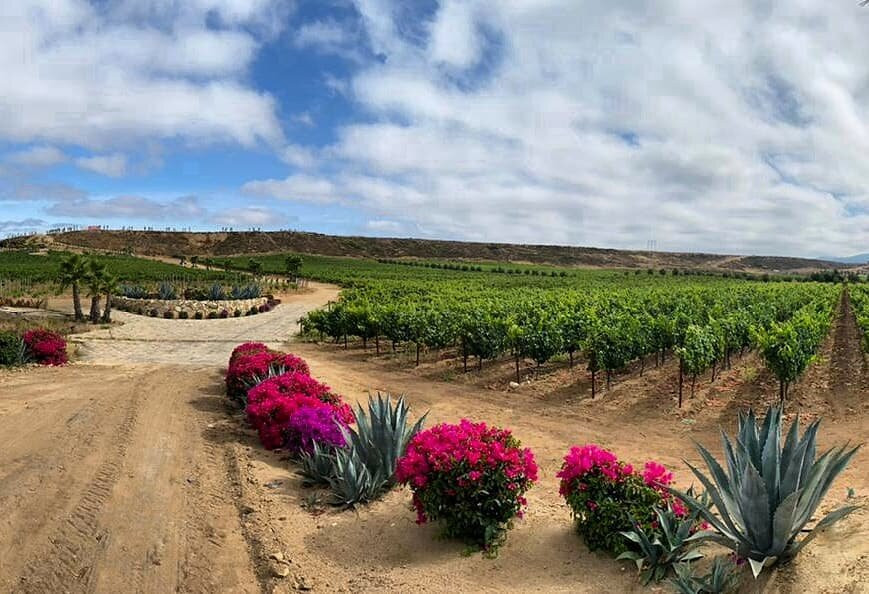 Viñas de la ERRE景点图片