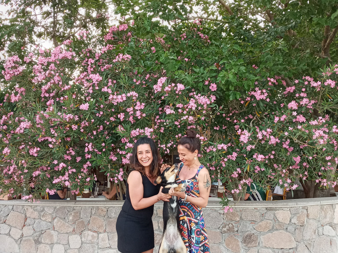 Assos Hunters Hotel (Special Class)主图