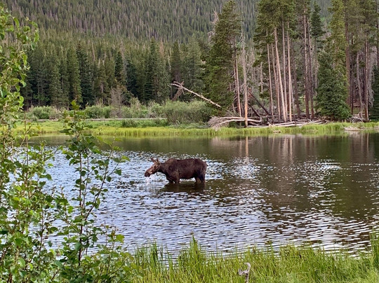 Sasquatch Fly Fishin-埃斯蒂斯公园必去景点