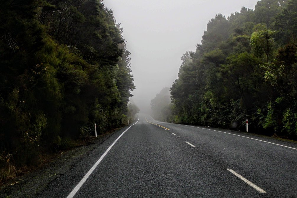 Mercer Bay Loop-皮哈海滩必去景点