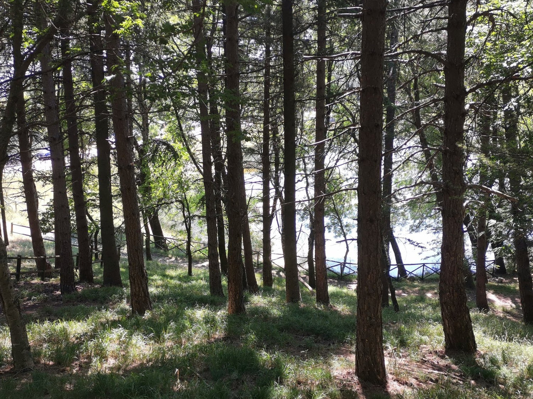 Area Naturale Lago Pescara景点图片