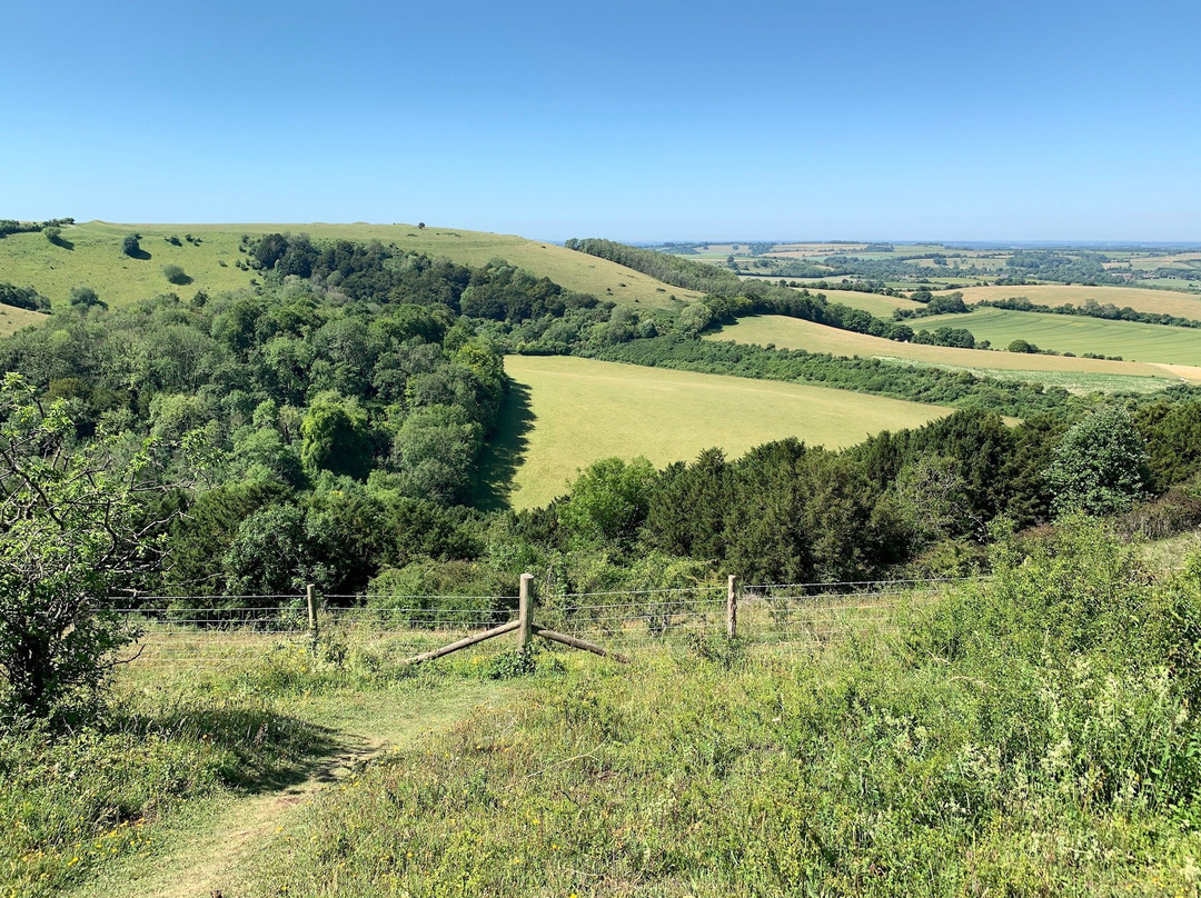 Old Winchester Hill景点图片