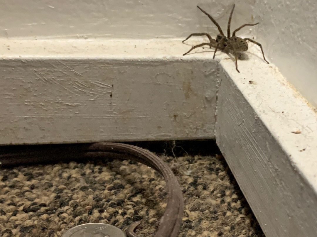 Salmon River Motel主图