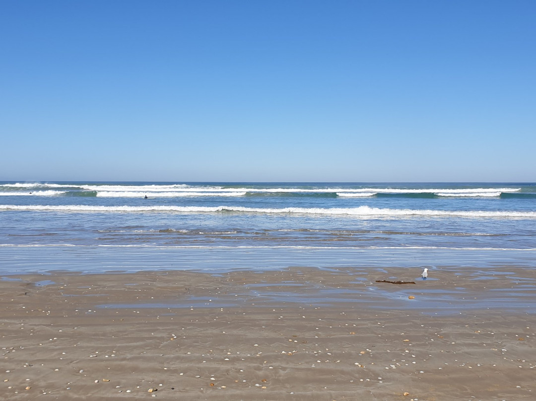 Goolwa Beach-Goolwa必去景点