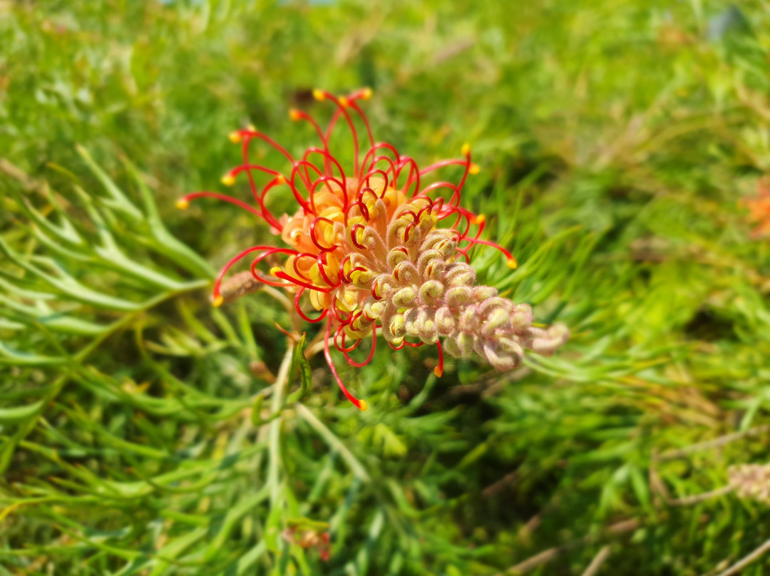 布罗德沃特公园-绍斯波特必去景点