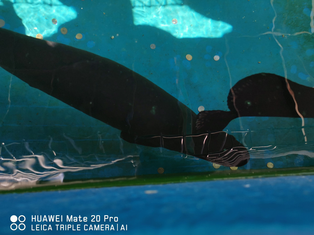 Chong Long Gong Temple-峇株巴辖必去景点