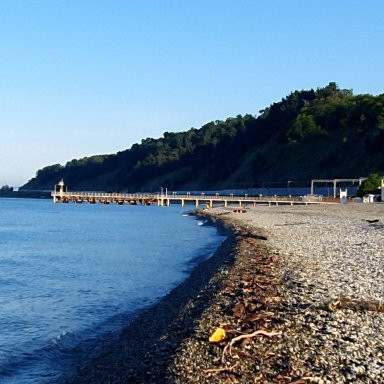 Central Beach Dagomys景点图片