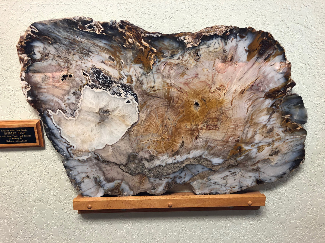 Petrified Wood Gallery-Ogallala必去景点