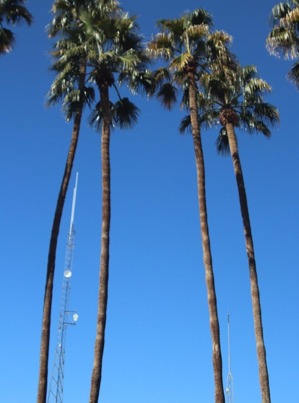 Coachella City Hall-Coachella必去景点