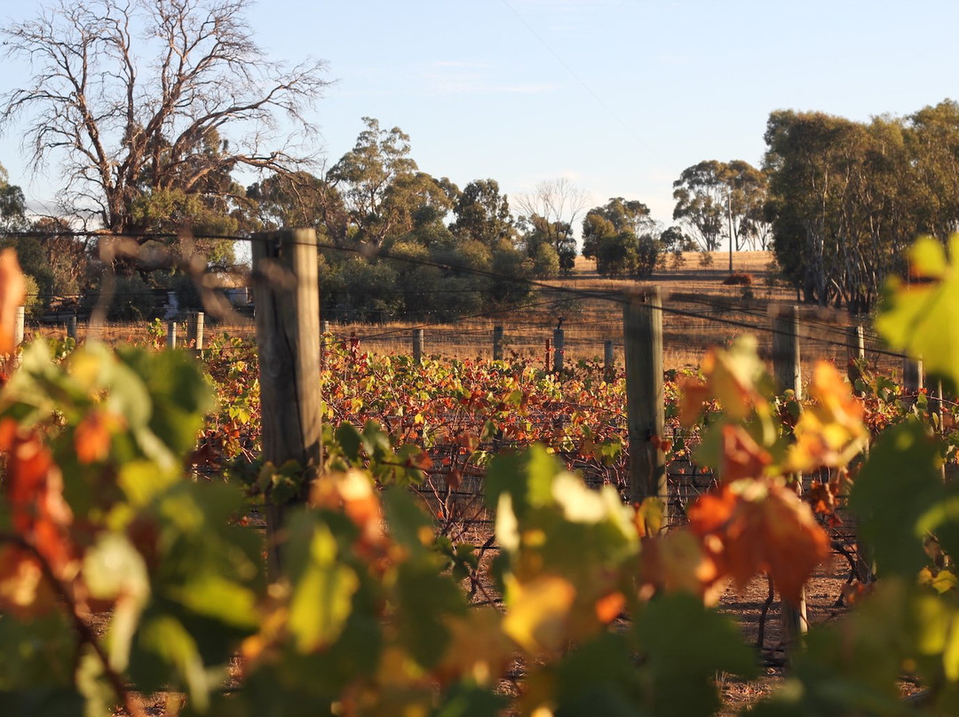 Armstead Estate-Knowsley必去景点