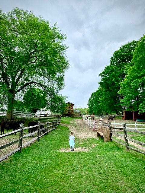 Flamig Farm-West Simsbury必去景点